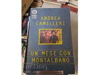 Un mese con Montalbano