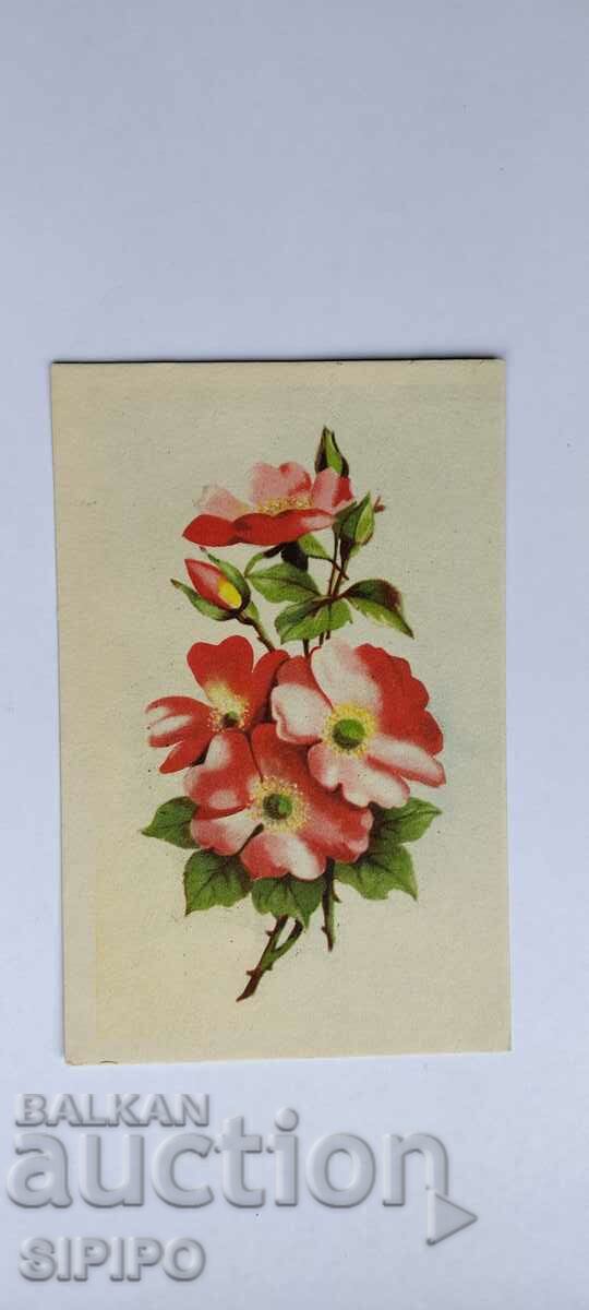 Old postcard