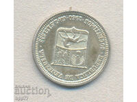 Silver coin 17