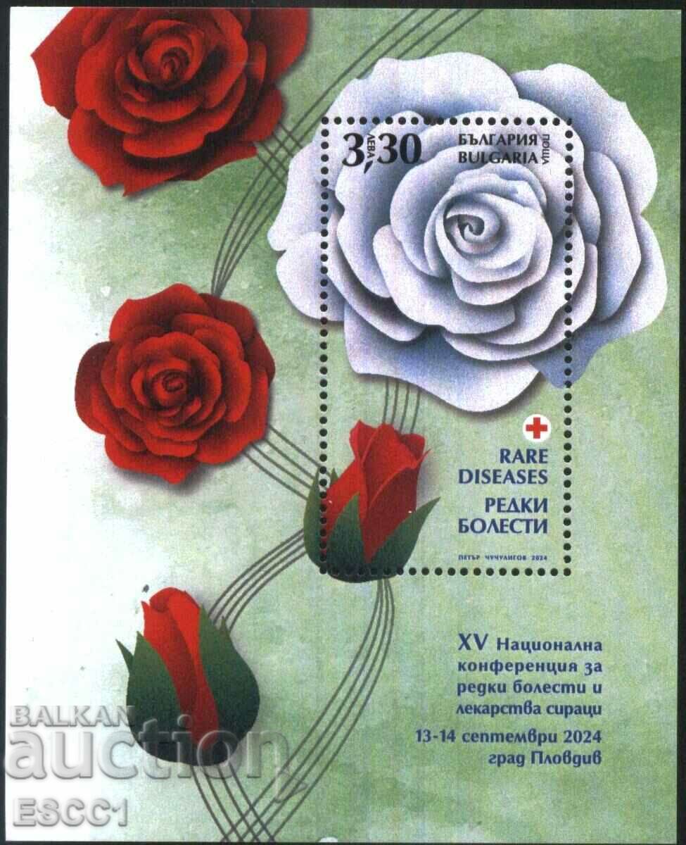 Clean block Medicine Rare Diseases Roses 2024 from Bulgaria