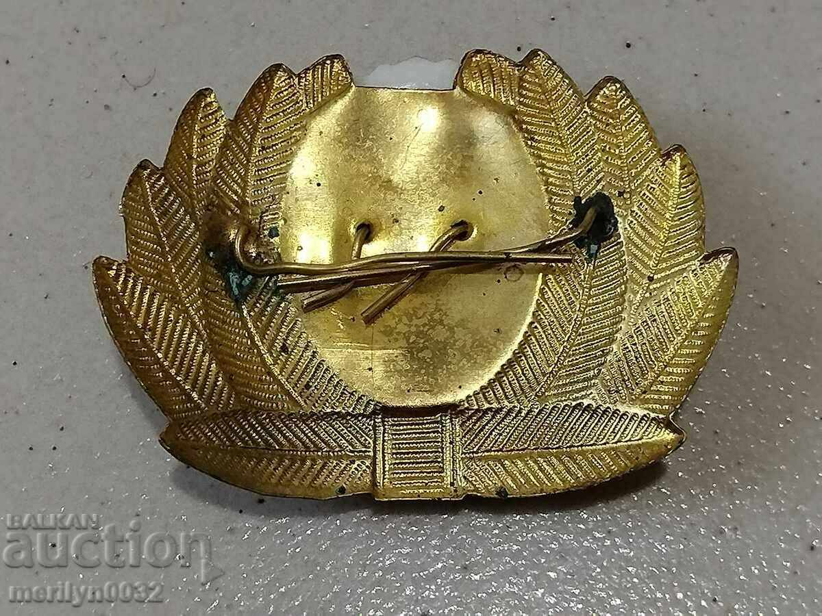 Delivery of Enameled social cockade enamel sign badge NRB