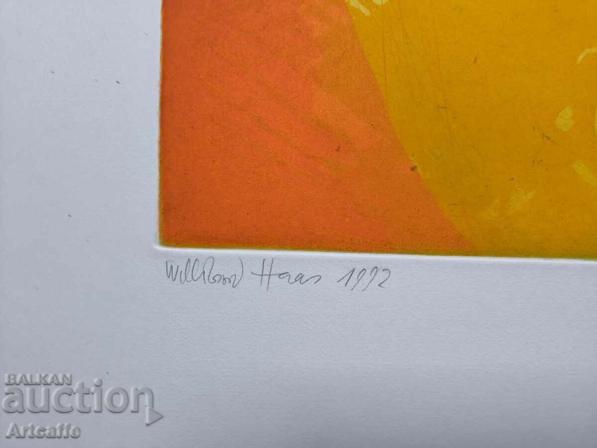 Графика-Художник Willibrord Haas рамка Nesen - 7