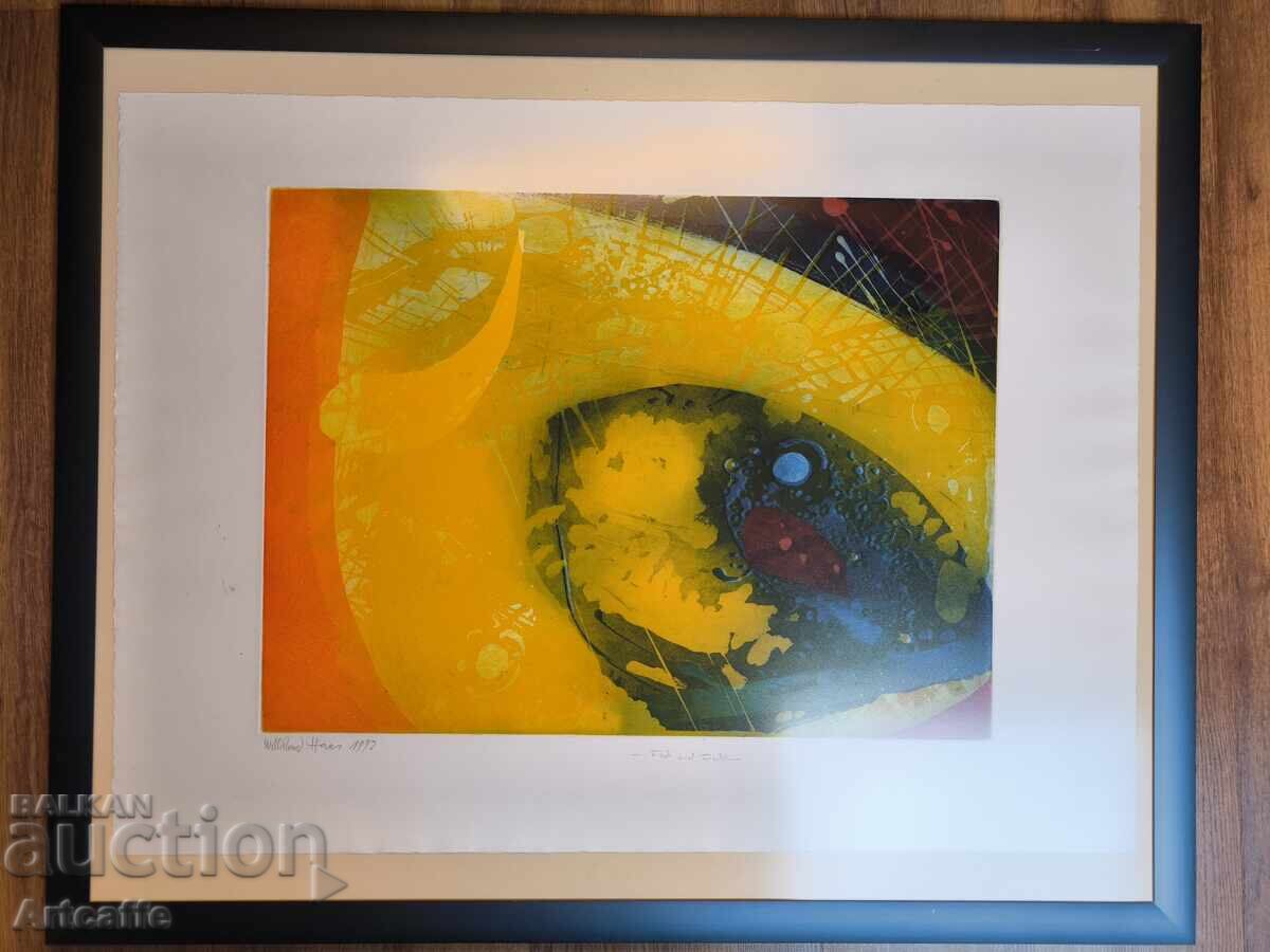 Графика-Художник Willibrord Haas рамка Nesen