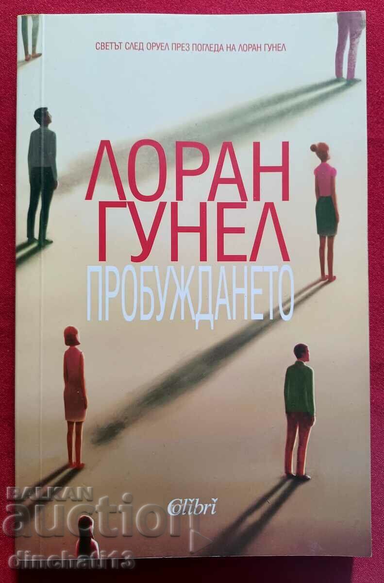 The Awakening - Laurent Gounel The Awakening - Laurent Gounel