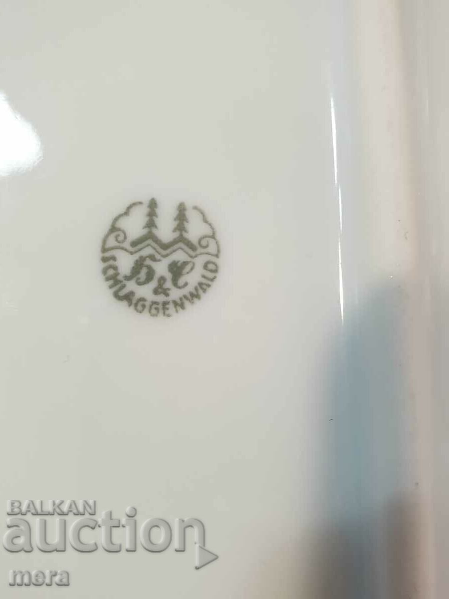 Vintage Schlaggenwald Czech Porcelain Tray - 6