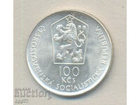 Silver coin 61