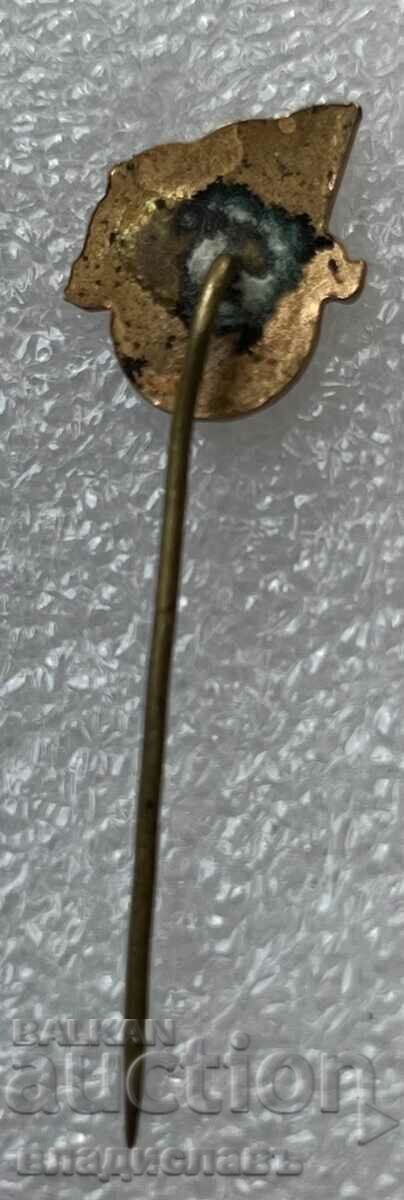 Delivery of football badge DSO Red Flag - enamel! Delivery of football badge DSO Red Flag - enamel!