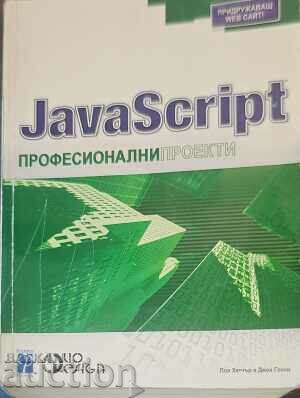 JavaScript: Proiecte profesionale - Paul Hatcher