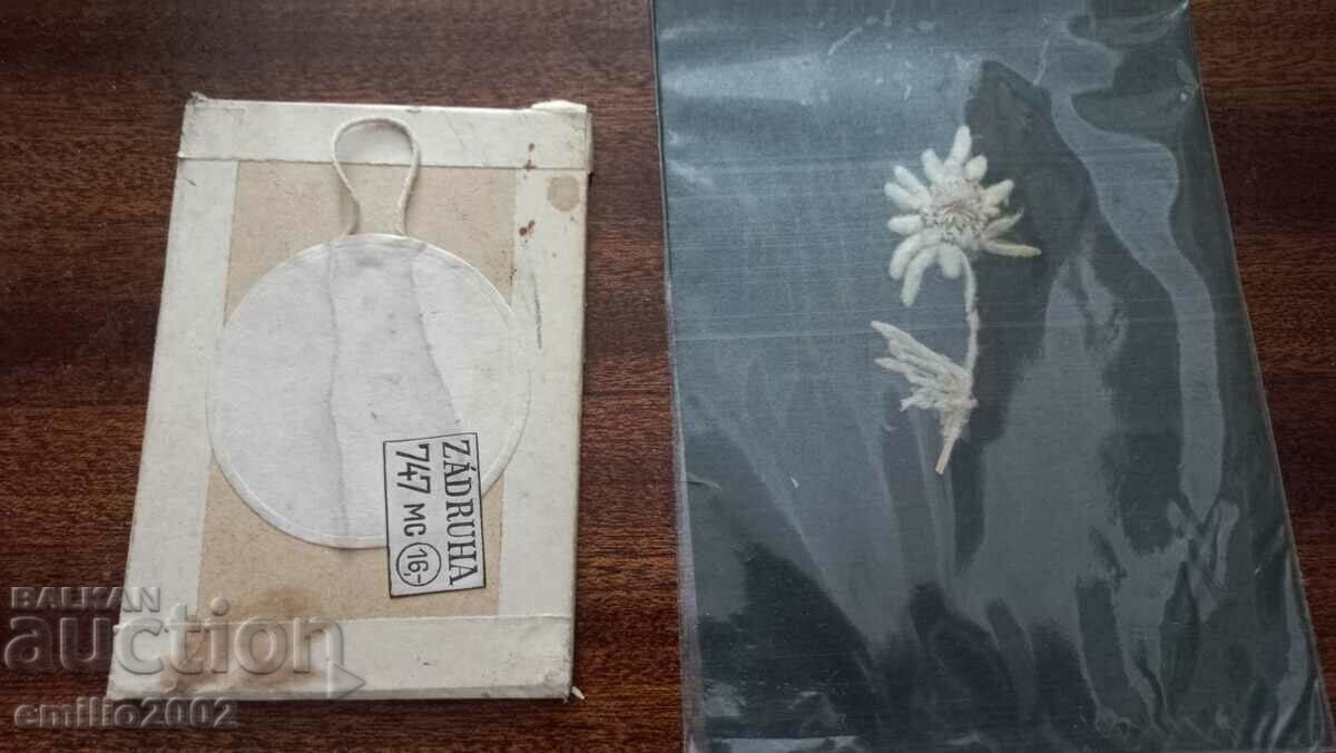 Herbarium retro soc. with price 3.00 BGN | € 1.53 Herbarium retro soc. with price 3.00 BGN | € 1.53