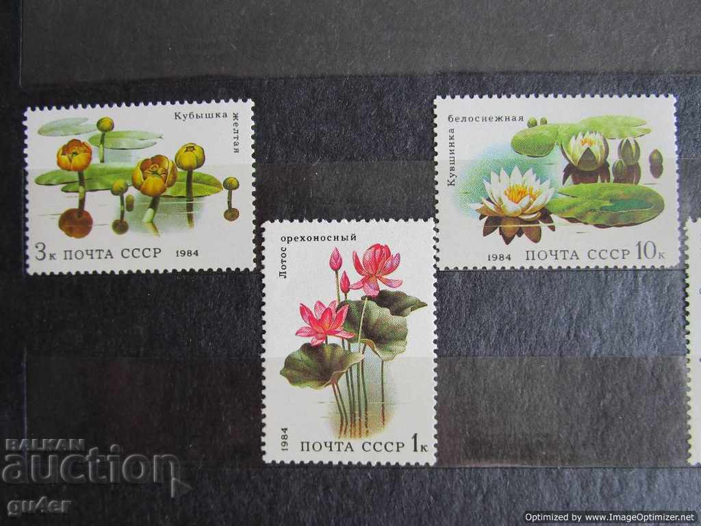 ❌❌URSS (Rusia), set complet, flora (flori), MNH❌❌ cu preț 1.00 BGN | € 0.51 ❌❌URSS (Rusia), set complet, flora (flori), MNH❌❌ cu preț 1.00 BGN | € 0.51