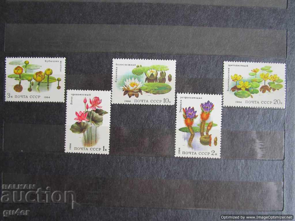 ❌❌URSS (Rusia), set complet, flora (flori), MNH❌❌