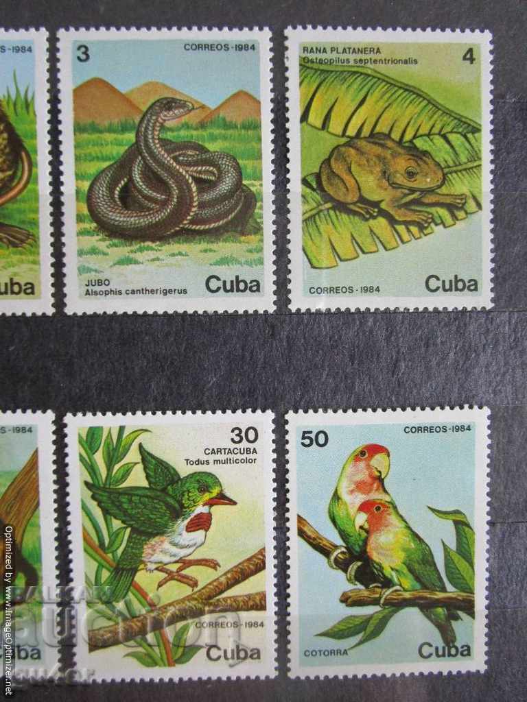 Auction ❌❌Cuba Complete Set Fauna (Animals) MNH❌❌ Auction ❌❌Cuba Complete Set Fauna (Animals) MNH❌❌