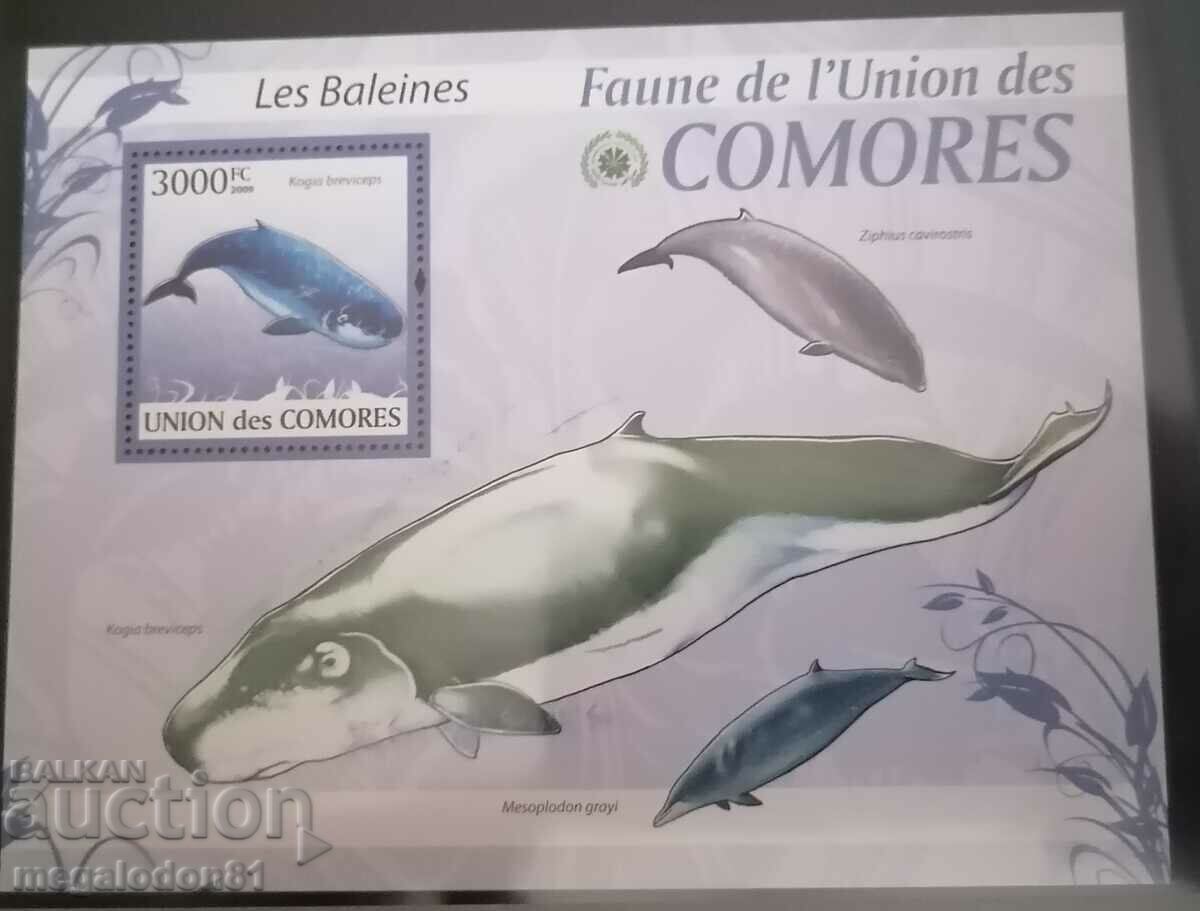 Comoros - fauna with price 48.00 BGN | € 24.54 Comoros - fauna with price 48.00 BGN | € 24.54