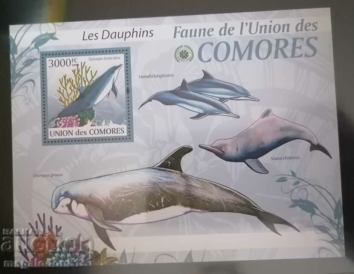 Auction Comoros - fauna Auction Comoros - fauna