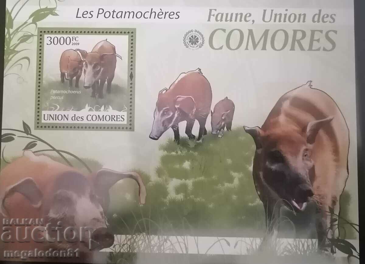 Delivery of Comoros - fauna Delivery of Comoros - fauna