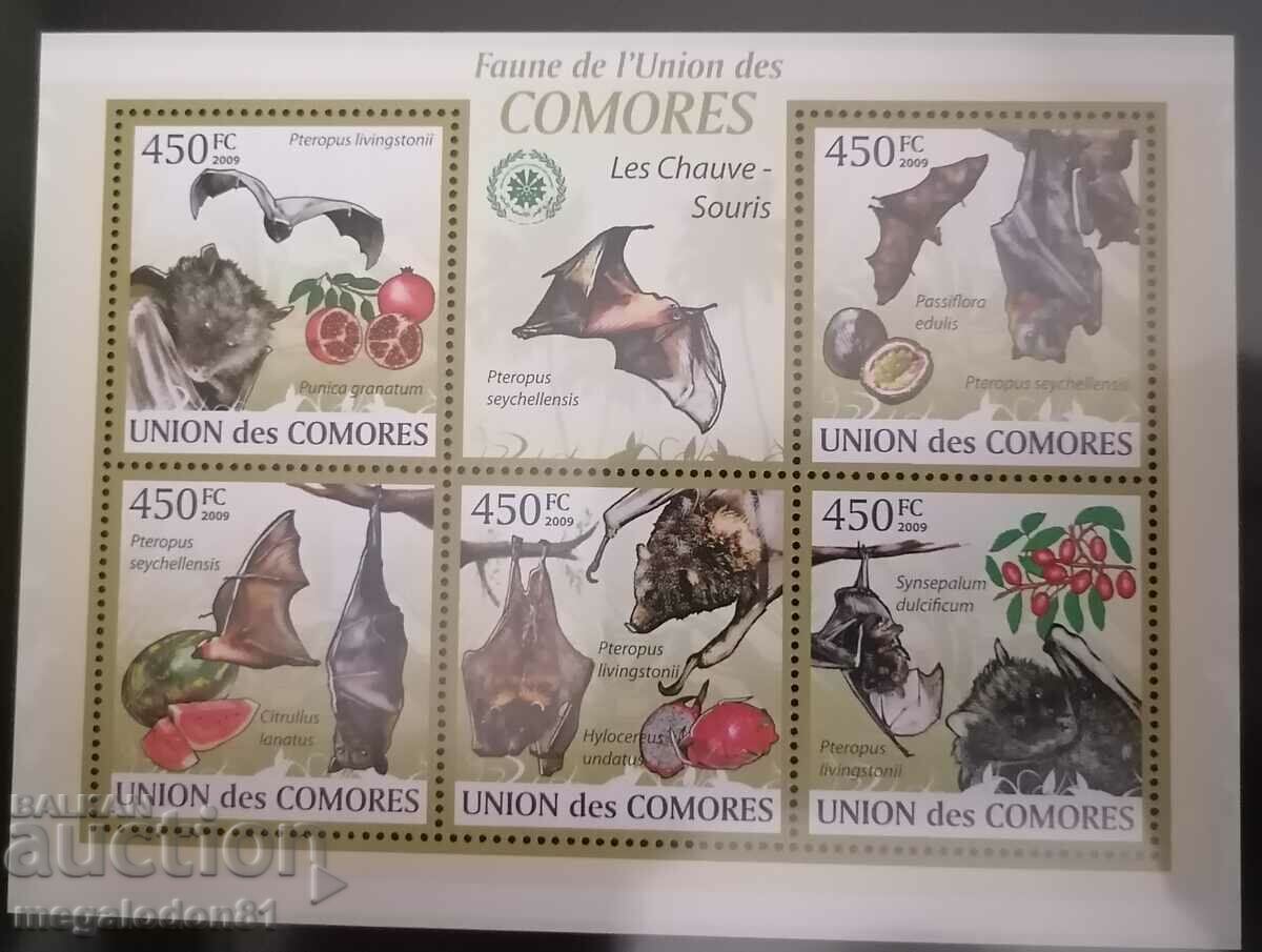 Comoros - fauna - 5 Comoros - fauna - 5