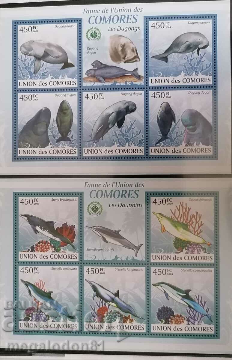 Comoros - fauna - 6 Comoros - fauna - 6