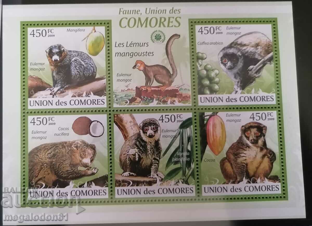 Comoros - fauna - 7 Comoros - fauna - 7