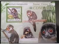 Comoros - fauna