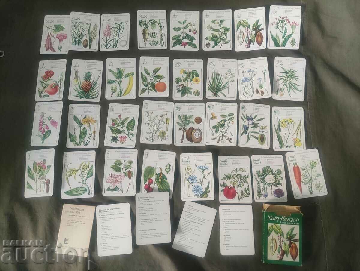 Auction Deck cards Plants GDR Auction Deck cards Plants GDR