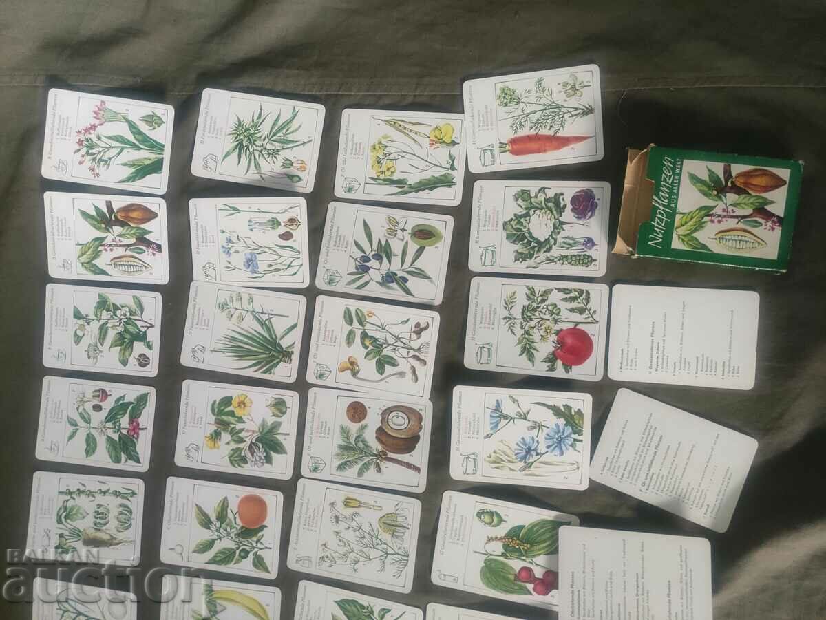 Deck cards Plants GDR - 5 Deck cards Plants GDR - 5