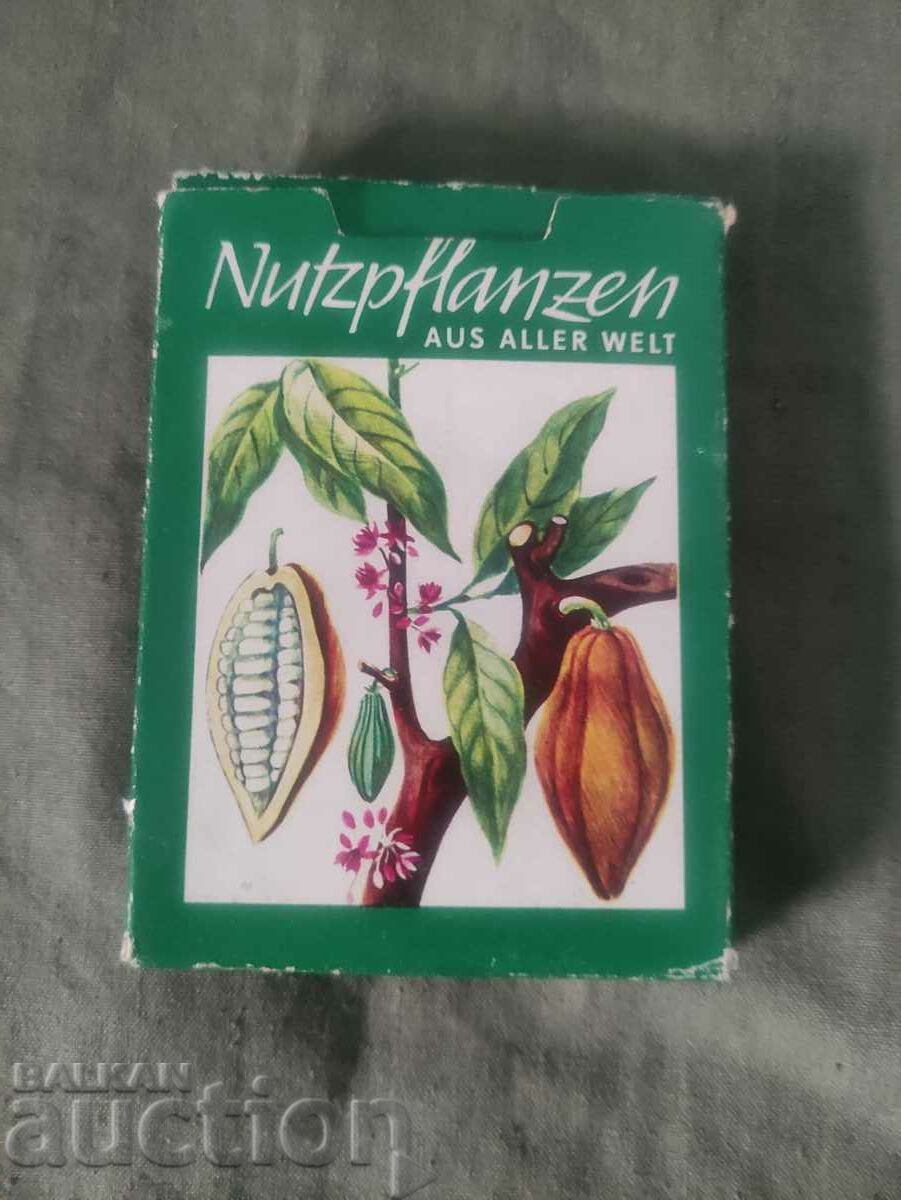 Deck cards Plants GDR