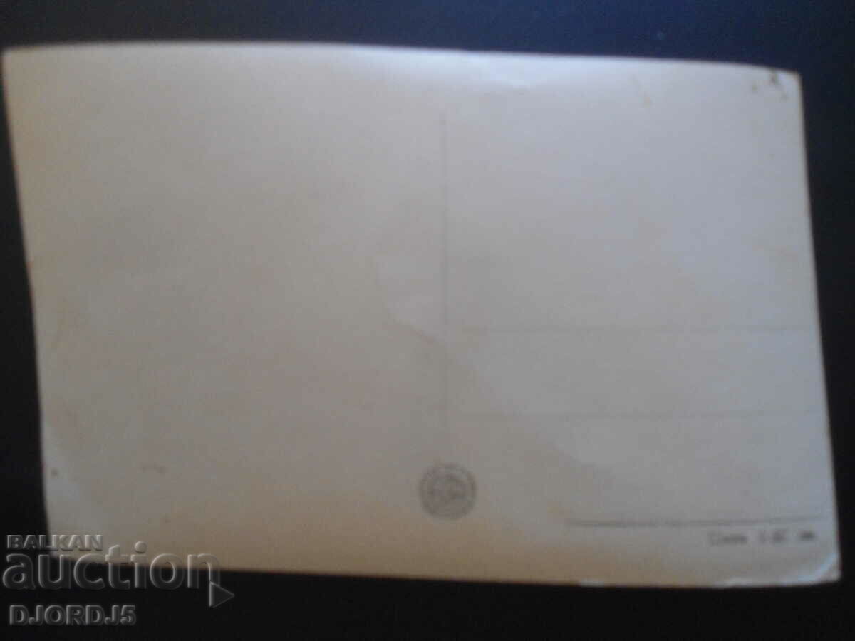 HISARYA - The camels, old postcard, photo with price 3.00 BGN | € 1.53