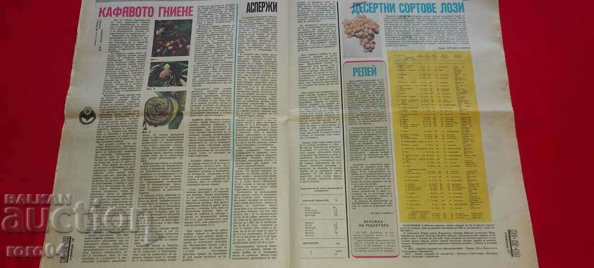 DO IT YOURSELF - 5 DO IT YOURSELF - 5