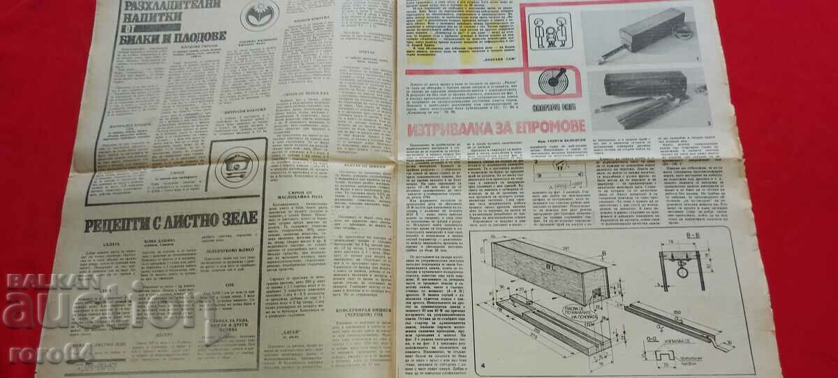 Delivery of DO IT YOURSELF Delivery of DO IT YOURSELF