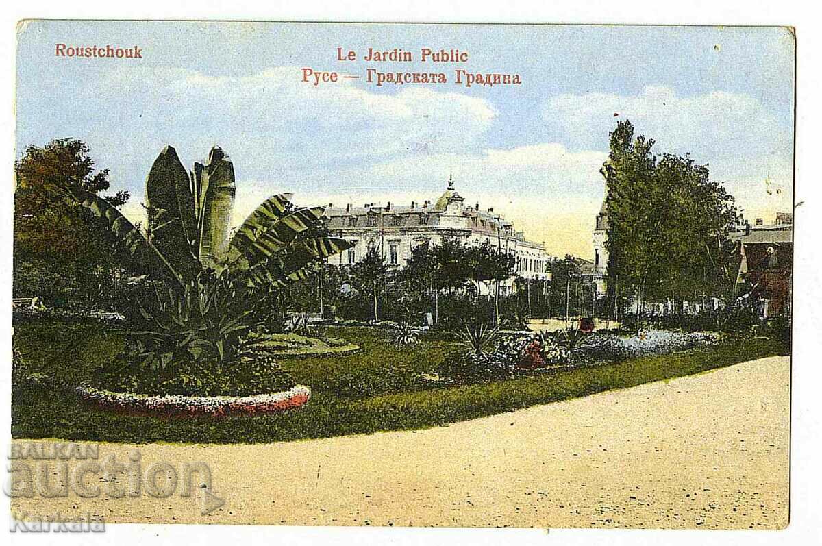 rare colorful royal card Ruse city garden