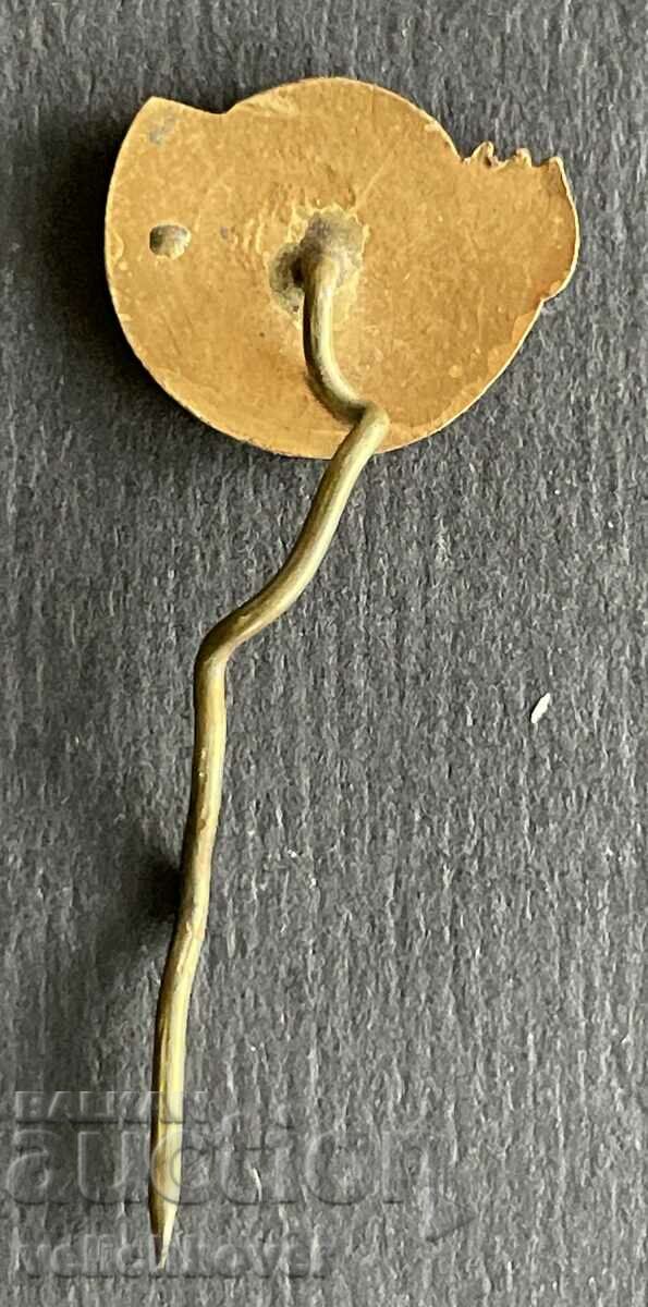 38542 Bulgaria sign BCHK Red Cross I Help email with price 4.00 BGN | € 2.05