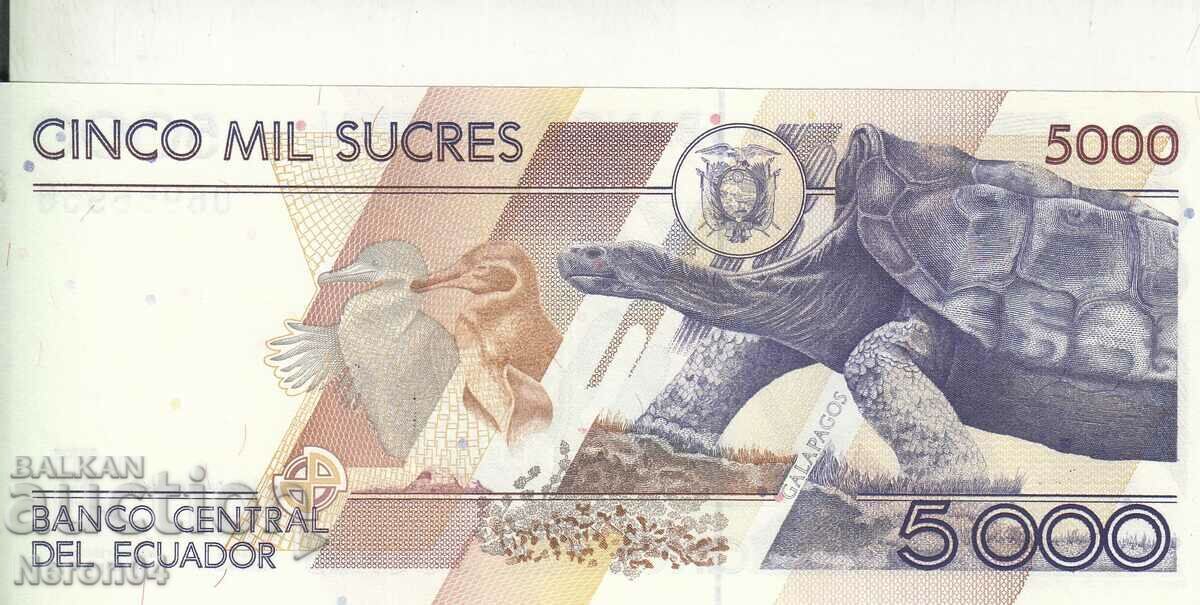 5000 Sucre 1999, Ecuador cu preț € 7.15 | 13.98 BGN 5000 Sucre 1999, Ecuador cu preț € 7.15 | 13.98 BGN
