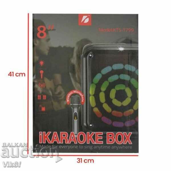 Livrarea Difuzor karaoke KTS-1799