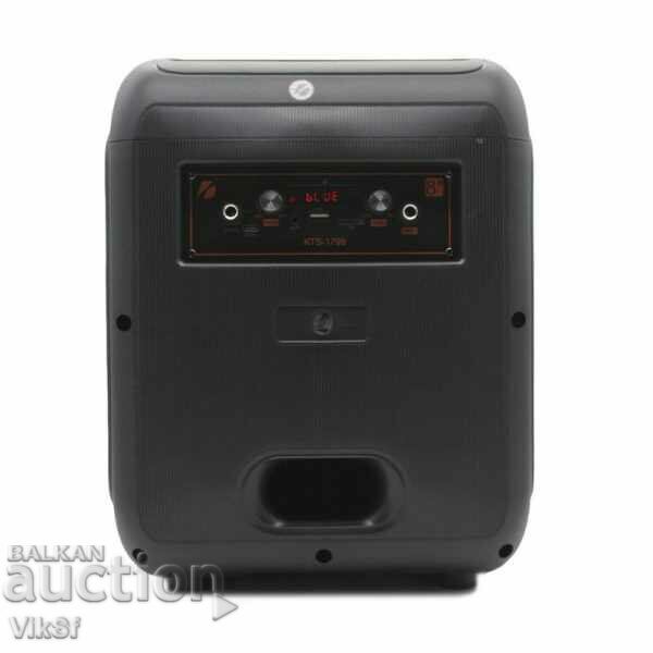 Difuzor karaoke KTS-1799 - 5