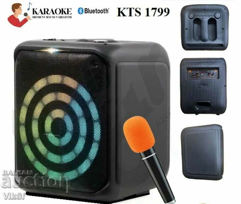 Difuzor karaoke KTS-1799 - 6