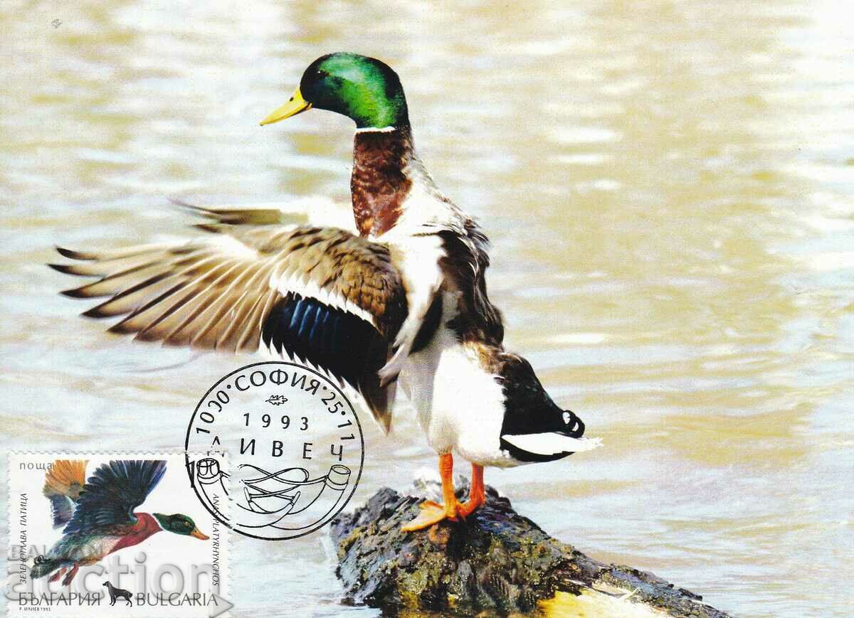 Card maxim 1993 Game duck #4096