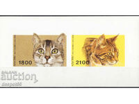 1996 Rep. Abkhazia - Russia. Cats. Mini block. ILLEGAL STAMP