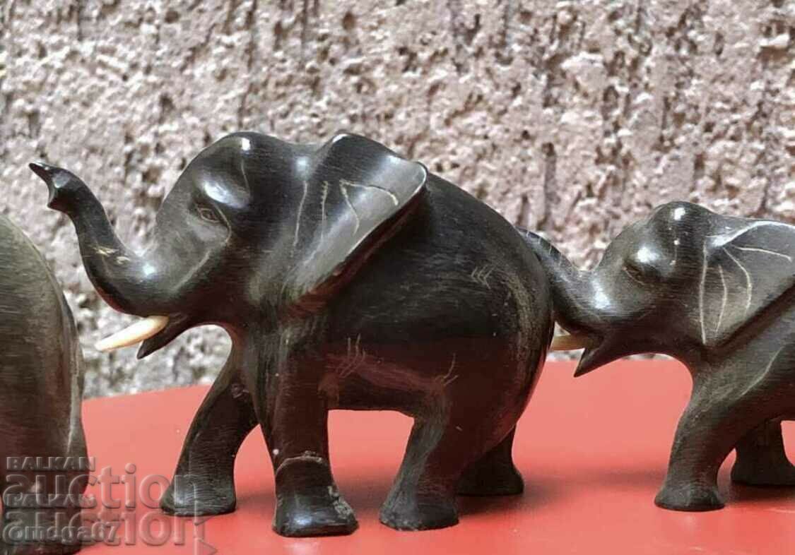 Delivery of Set of four baby buffalo horn elephants!