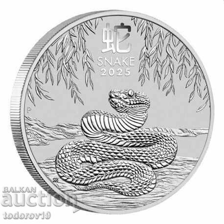 Silver Lunar Year of the Snake 2025 1 oz