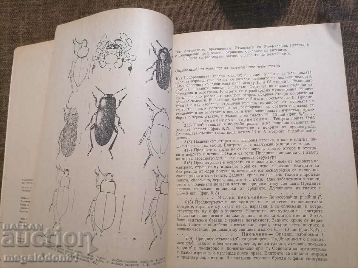 Manual for Laboratory Exercises by Special Entomologist with price 32.00 BGN | € 16.36 Manual for Laboratory Exercises by Special Entomologist with price 32.00 BGN | € 16.36