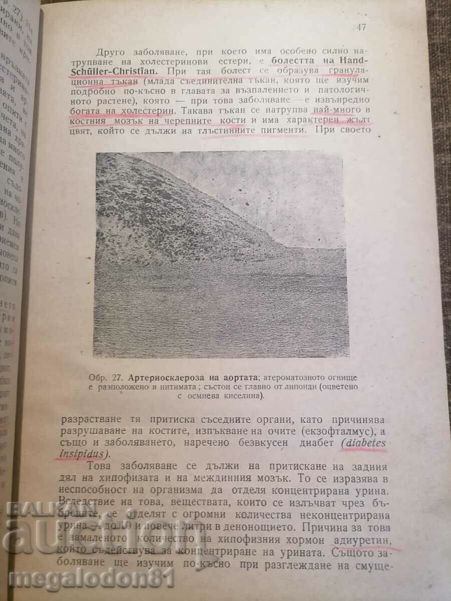 Delivery of General pathology - Prof. Boyan Kardzhiev Delivery of General pathology - Prof. Boyan Kardzhiev