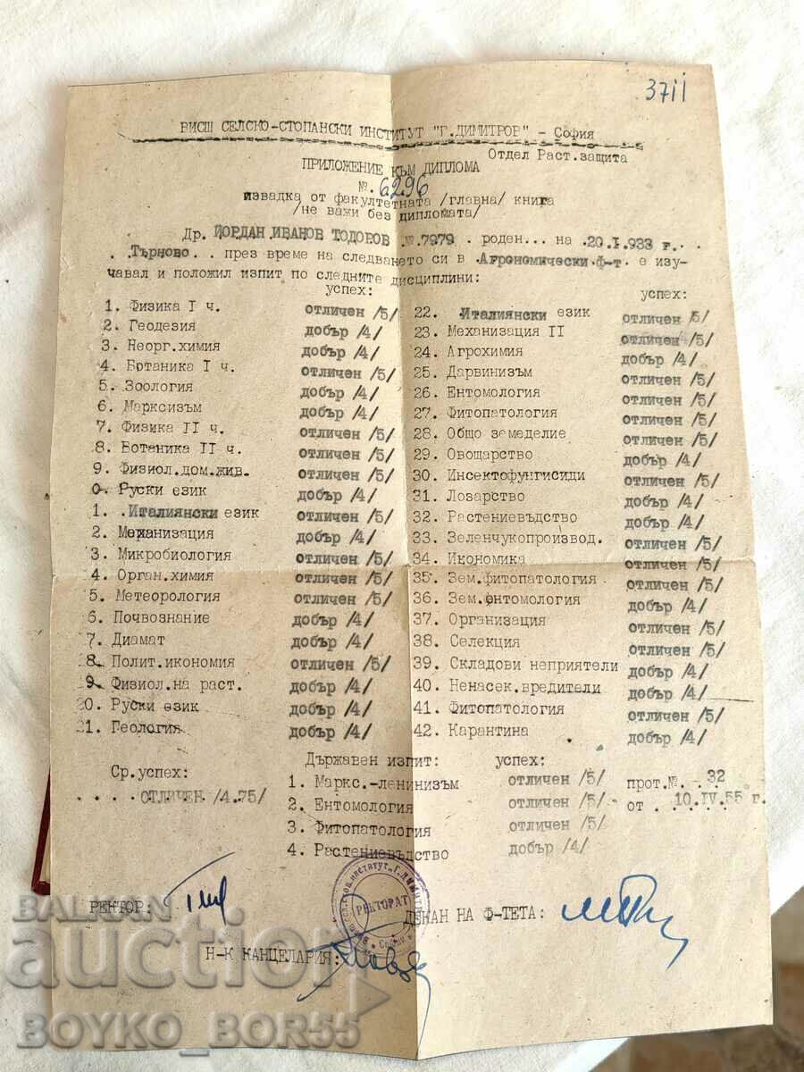 Student Booklet from 1950 + Supplement to Diploma from 1955 - 5 Student Booklet from 1950 + Supplement to Diploma from 1955 - 5