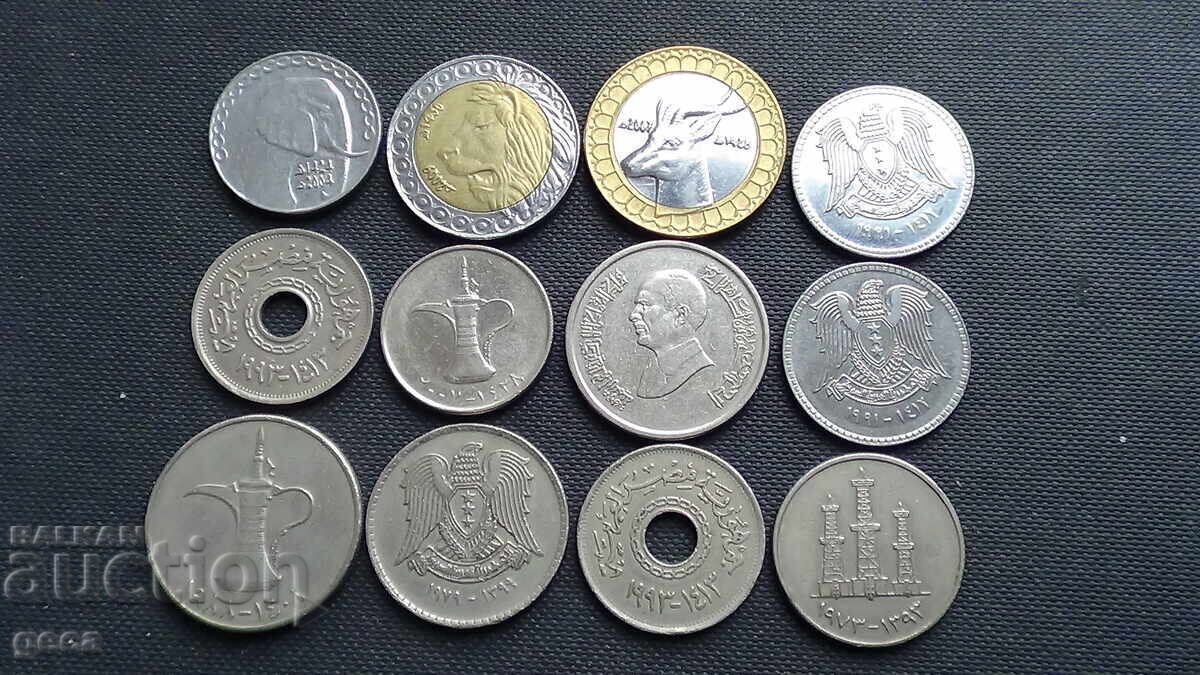 Lot of Arabic coins - 12 pcs. with price 13.00 BGN | € 6.65