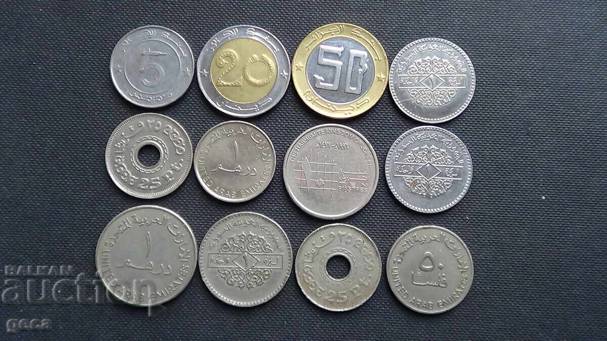 Auction  Lot of Arabic coins - 12 pcs.