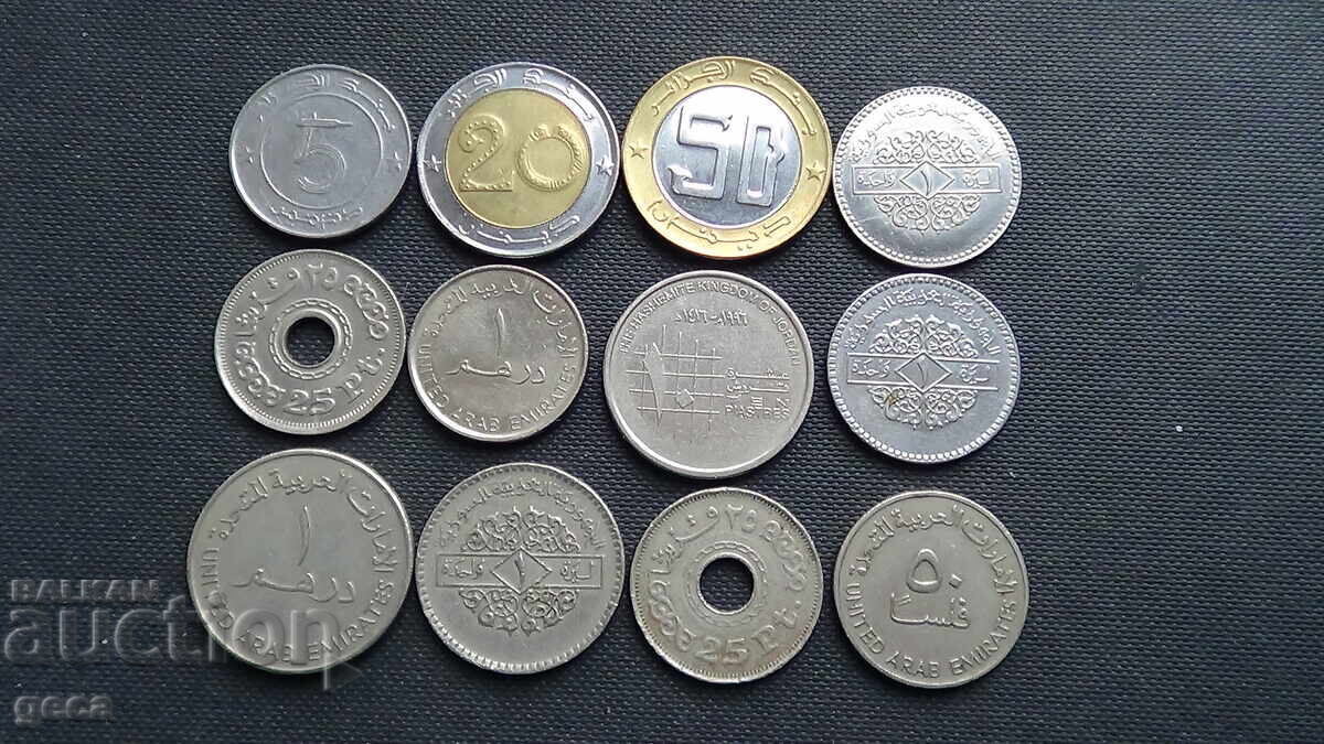 Lot of Arabic coins - 12 pcs. - 5