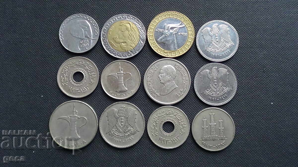 Lot of Arabic coins - 12 pcs. - 6