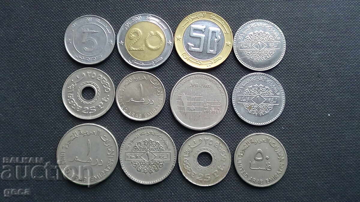 Lot of Arabic coins - 12 pcs. - 7