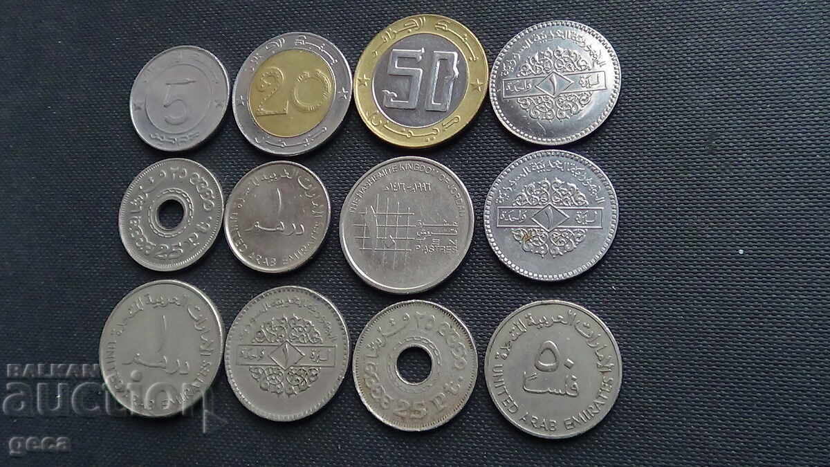 Lot of Arabic coins - 12 pcs.