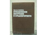 Пукнатинни интрузии в Средногорието - Христо Дабовски 1988 г