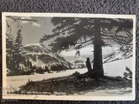 Стара пътувала картичка-Рила-връх Манчу